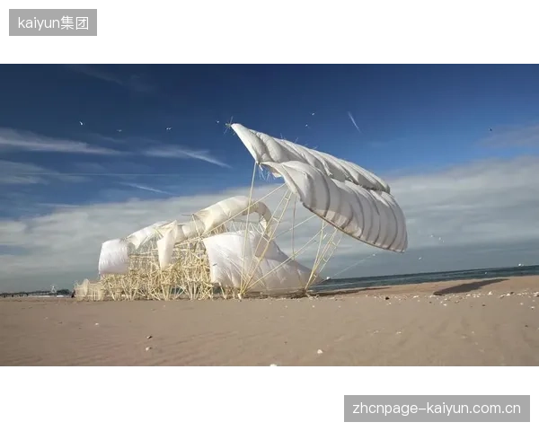 为验收而建的无障碍设施：正在成为体育场馆里最昂贵的“装置艺术
